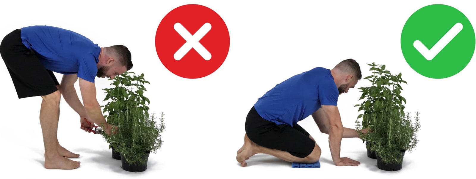 proper posture while gardening