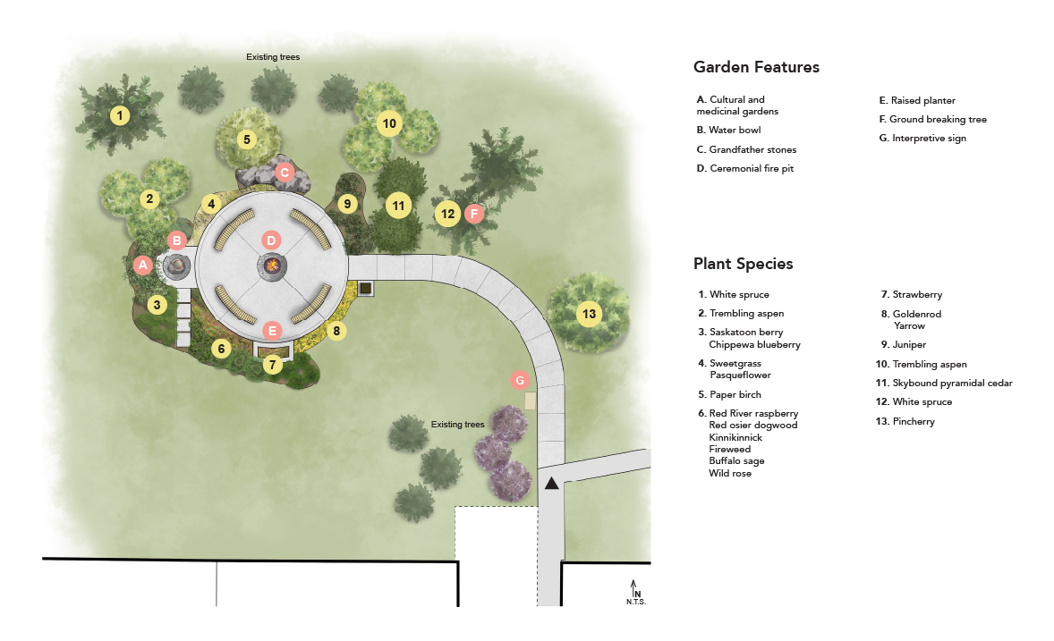 render of indigenous healing garden