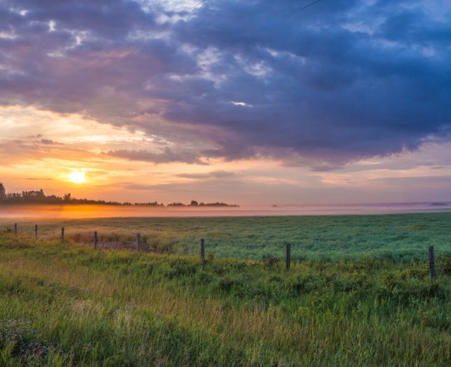 Camrose, Alberta Camrose landscape