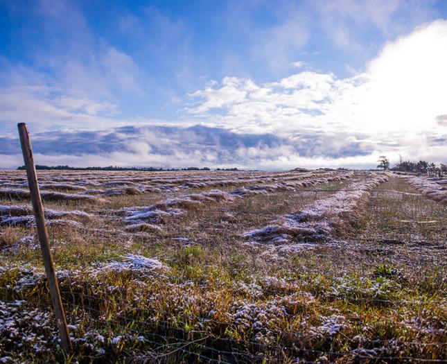 Mundare landscape