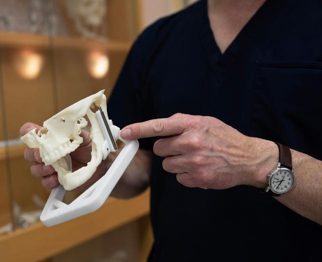 Craniofacial Care Program A Craniofacial Care Program team member holds a model of a jaw.