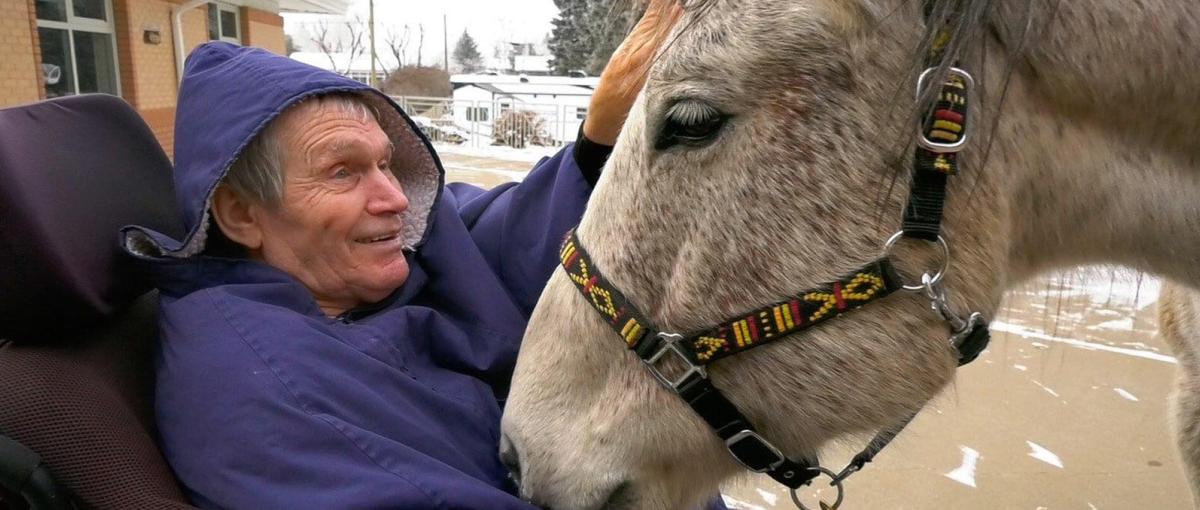2020-04-21-jim-griebel-kruiden-horse_hero
