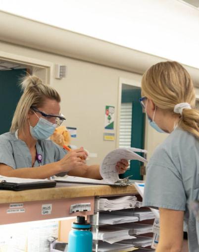 A registered nurse looks through paperwork with a colleague