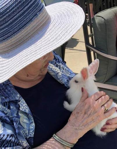 Senior holding bunny thumbnail