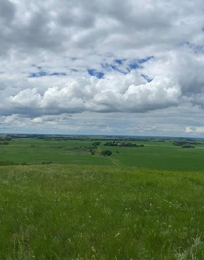 The view toward Vegreville from Akasu Hill is full of grassy plains and trees under a cloudy sky