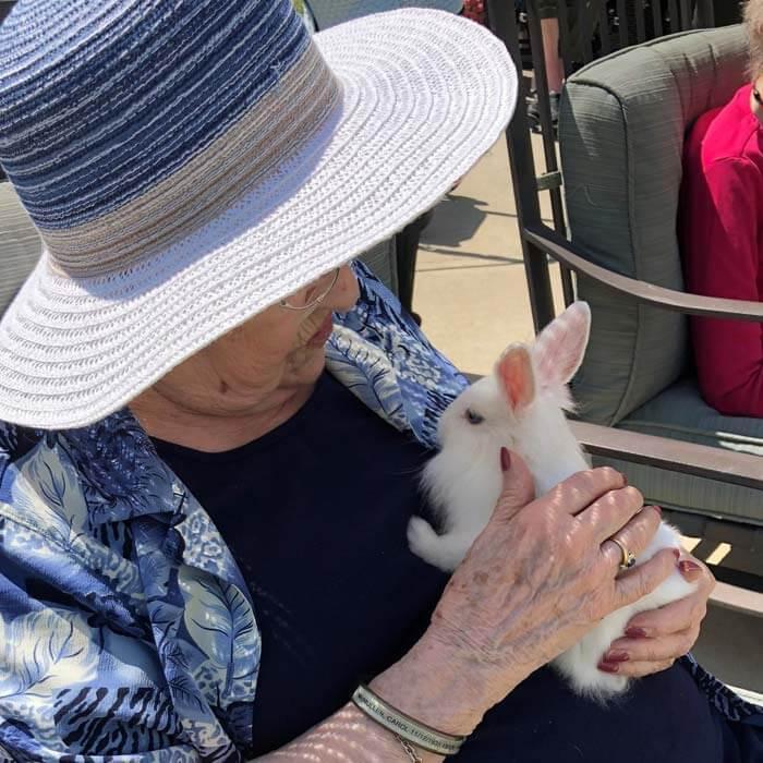 A senior woman holding a white bunny
