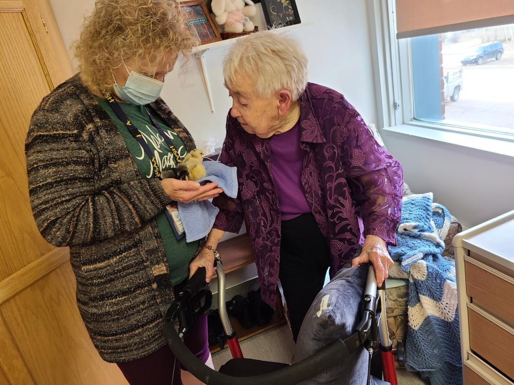 Randi holds a chick in her hands for a resident to see.