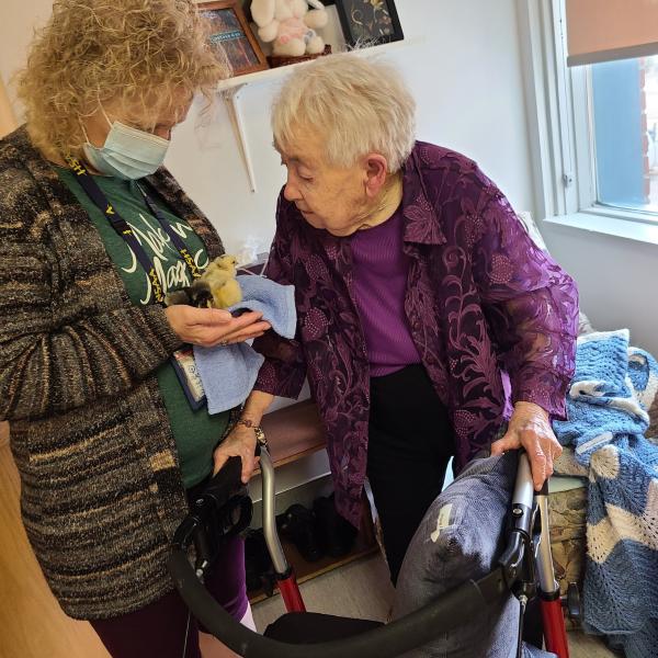 Randi holds a chick in her hands for a resident to see.